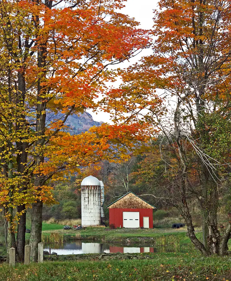 A red barn and silo framed by autumn maples in Hunter, in the Catskills