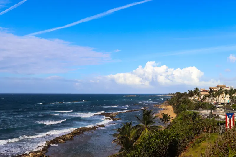 Palm trees above a blue Puerto Rican coastline